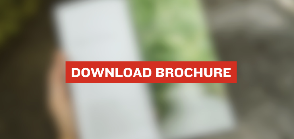 Home screenshot 2025 11 17 at 2.43.31 pm